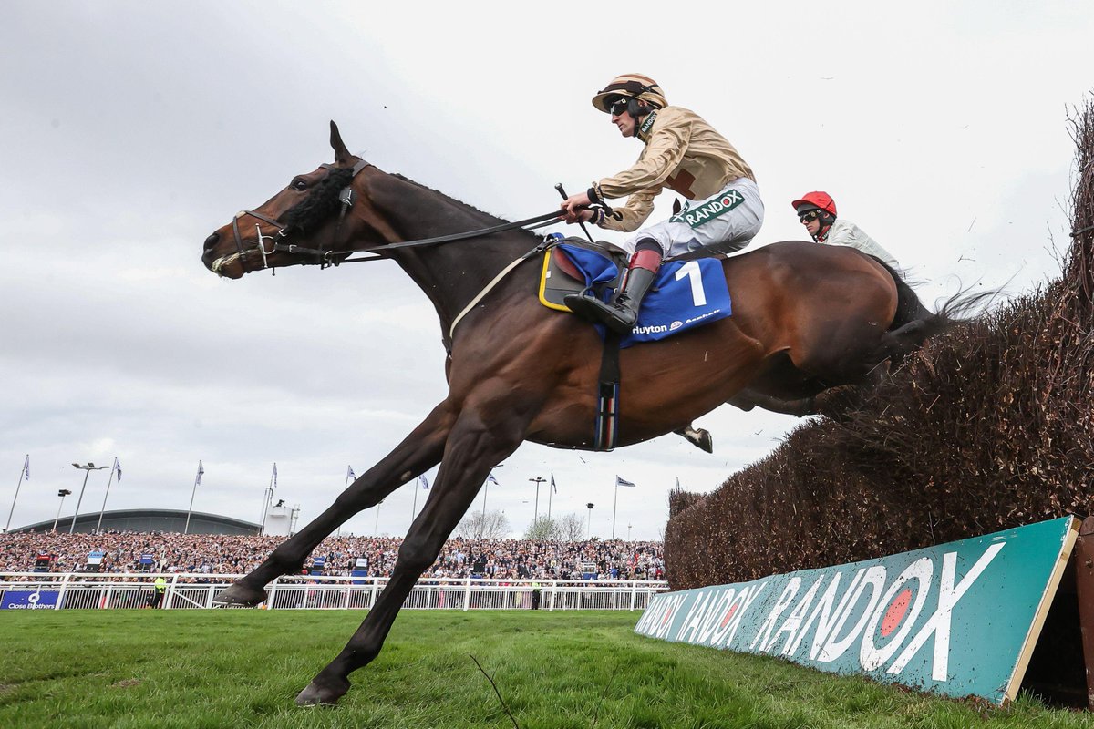 JUST IN: Broadway Boy walked onto the horse ambulance and will return to the stables for further assessment