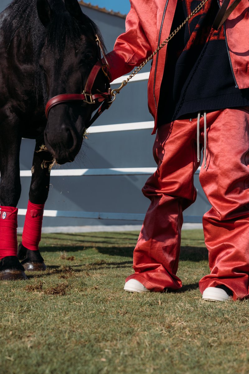 stable in the stable.