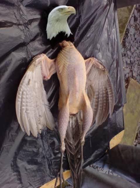 <a href="/ExpressFCUganda/">Express FC</a> Bamukongodde baaba😂😂😂