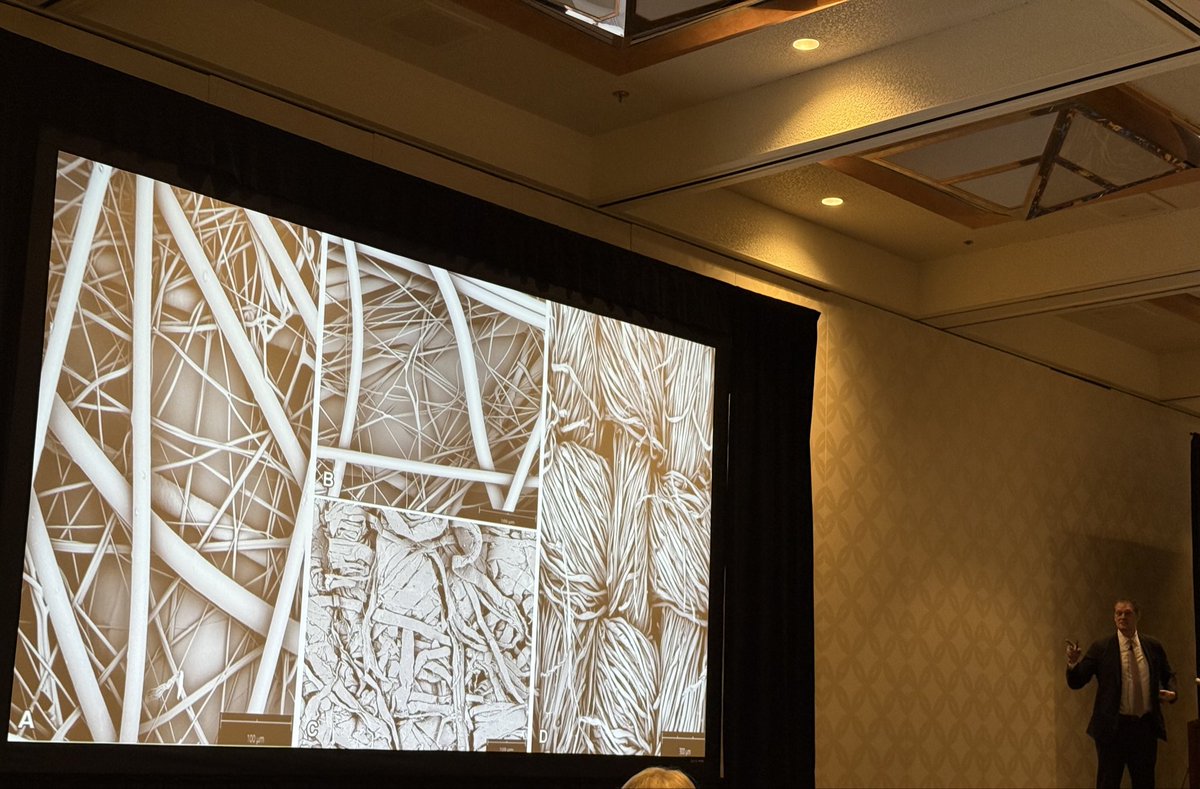 Sheela Pai Cole (@sheelapaicole) on Twitter photo The wonderful <a href="/wald_sam/">Sam Wald</a> from <a href="/stanfordanes/">Stanford Anesthesiology</a> and <a href="/StanfordHealth/">Stanford Health Care</a> discussing lessons from leadership! So apt! #csaannual25 The wonderful <a href="/wald_sam/">Sam Wald</a> from <a href="/stanfordanes/">Stanford Anesthesiology</a> and <a href="/StanfordHealth/">Stanford Health Care</a> discussing lessons from leadership! So apt! #csaannual25
