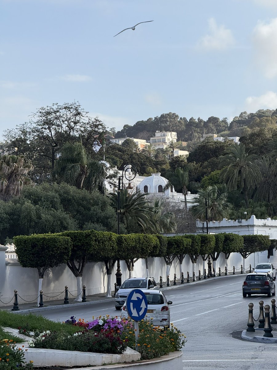 Franklin Roosevelt avenue #Algiers