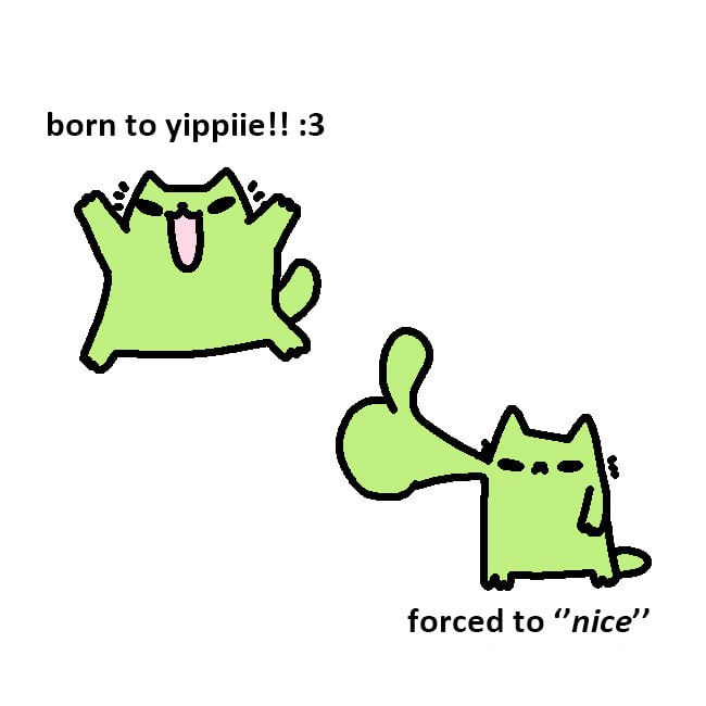 nice