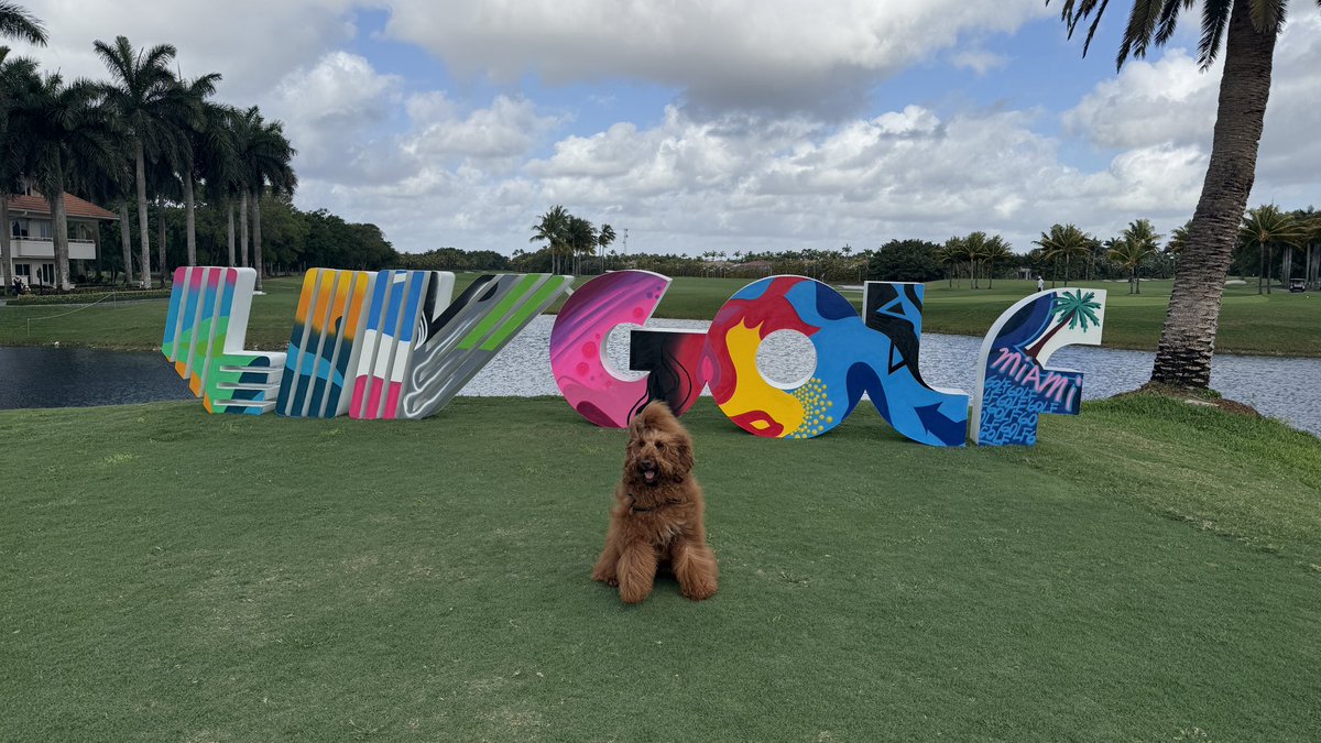 PeteTecManComan's tweet photo. What’s up @livgolf_league Miami #liv #LIVGolf #LIVGolfMiami #everyonelovesbowie #bowiethegoldendoodle https://t.co/KzY2nVLK67