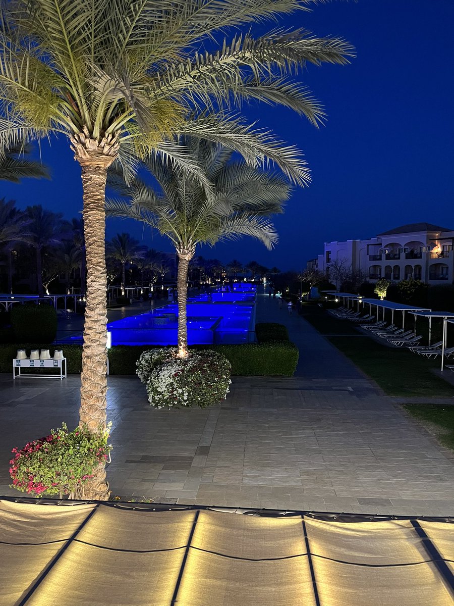 Salva (@salva_coach) on Twitter photo 