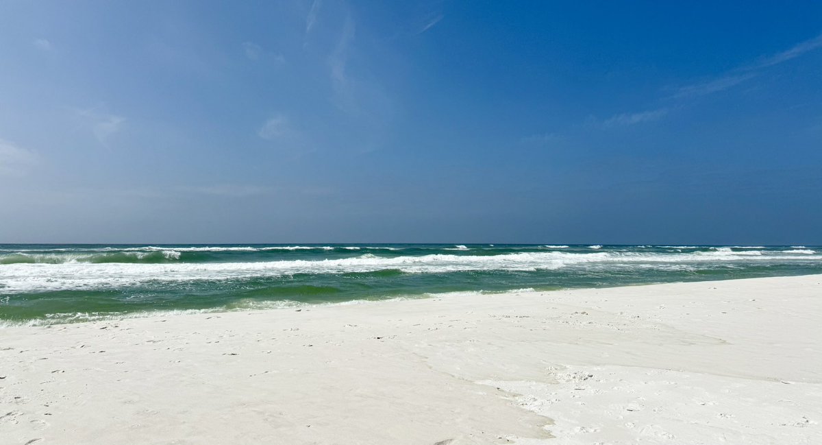 NinersDawgs tweet media