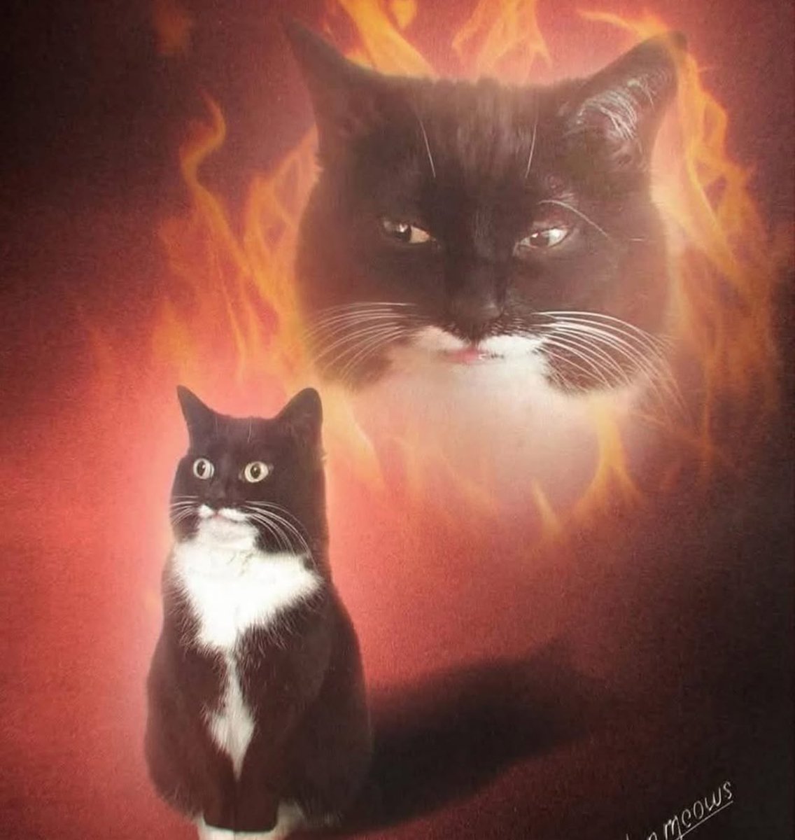 “Sin rencores vdd?”

Yo: