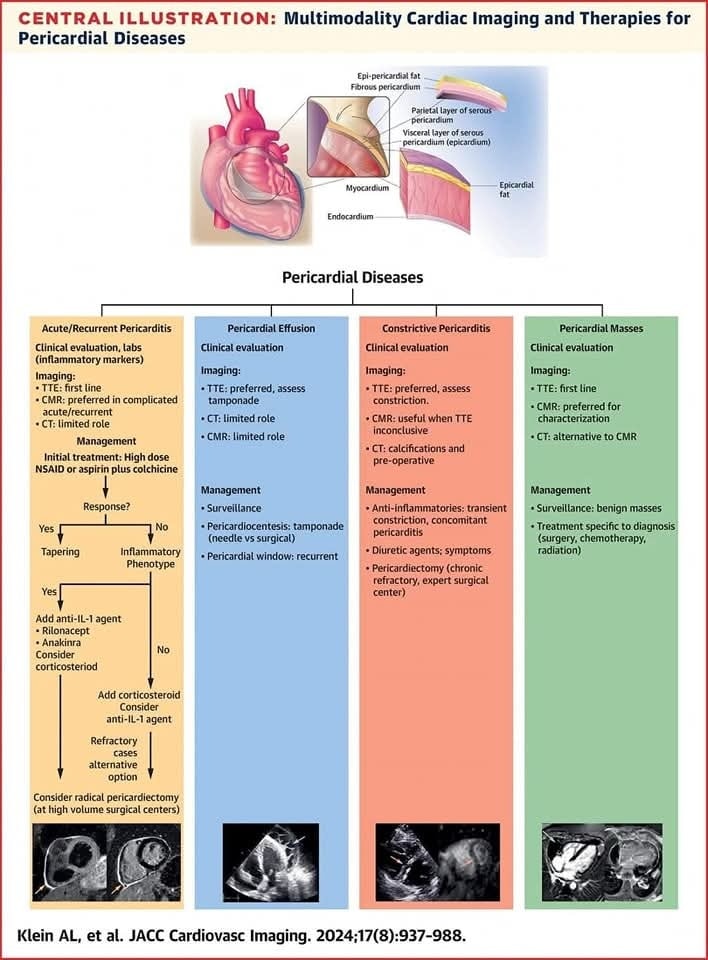 The Heart tweet media