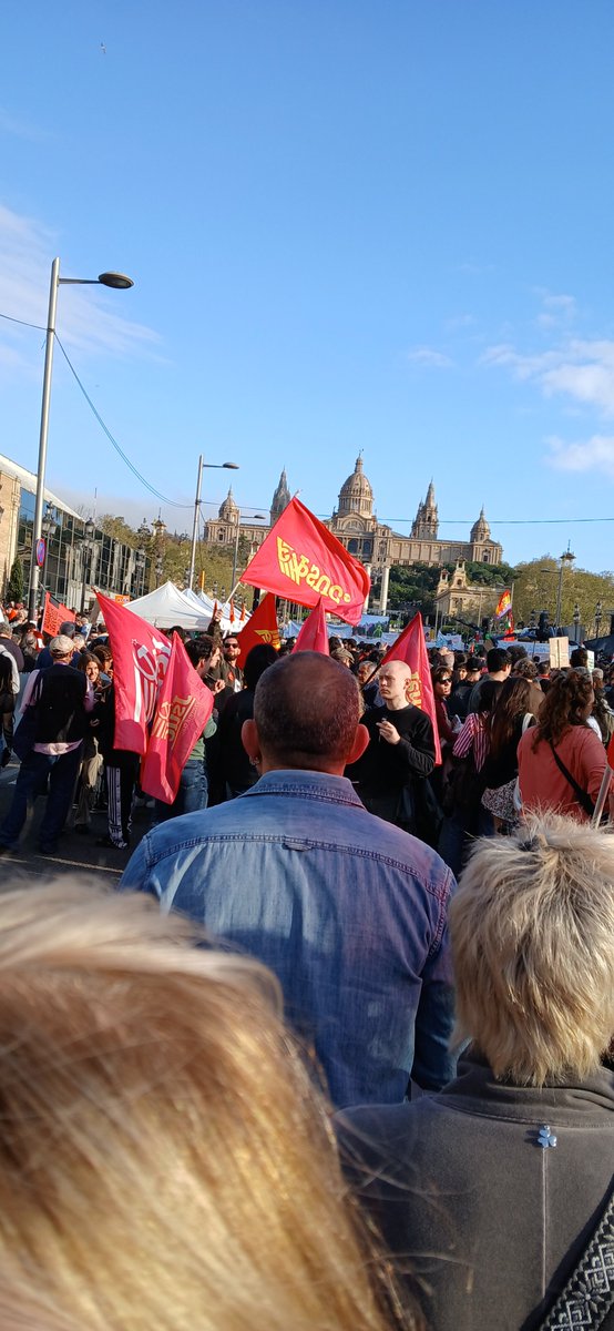 CCOO BLL APAG +drets +accioterritorial +proximitat tweet media
