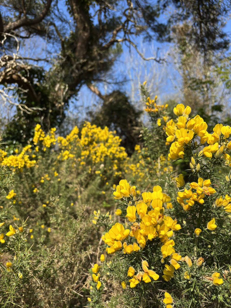 Billy Keady tweet media