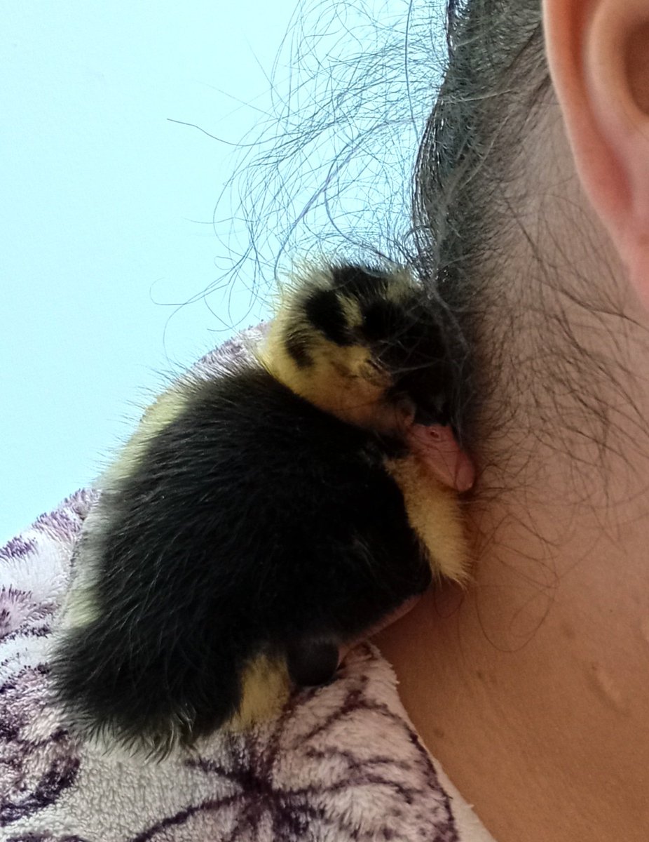 David Milligan-Croft tweet media