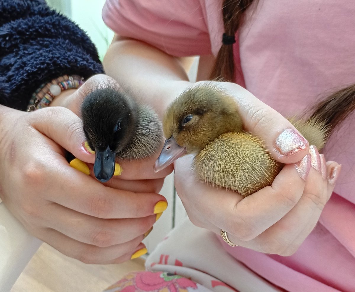 David Milligan-Croft tweet media