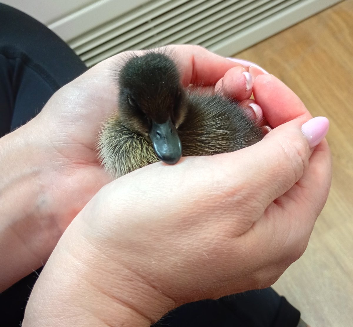 David Milligan-Croft tweet media