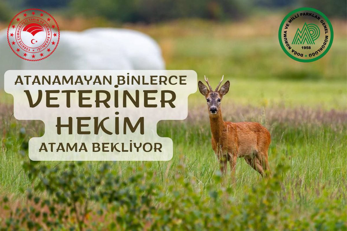 Doğa Koruma ve Milli parklarda görev almak istiyoruz.
#VeterinerHekimlere5000atama 
<a href="/ibrahimyumakli/">İbrahim Yumaklı</a>