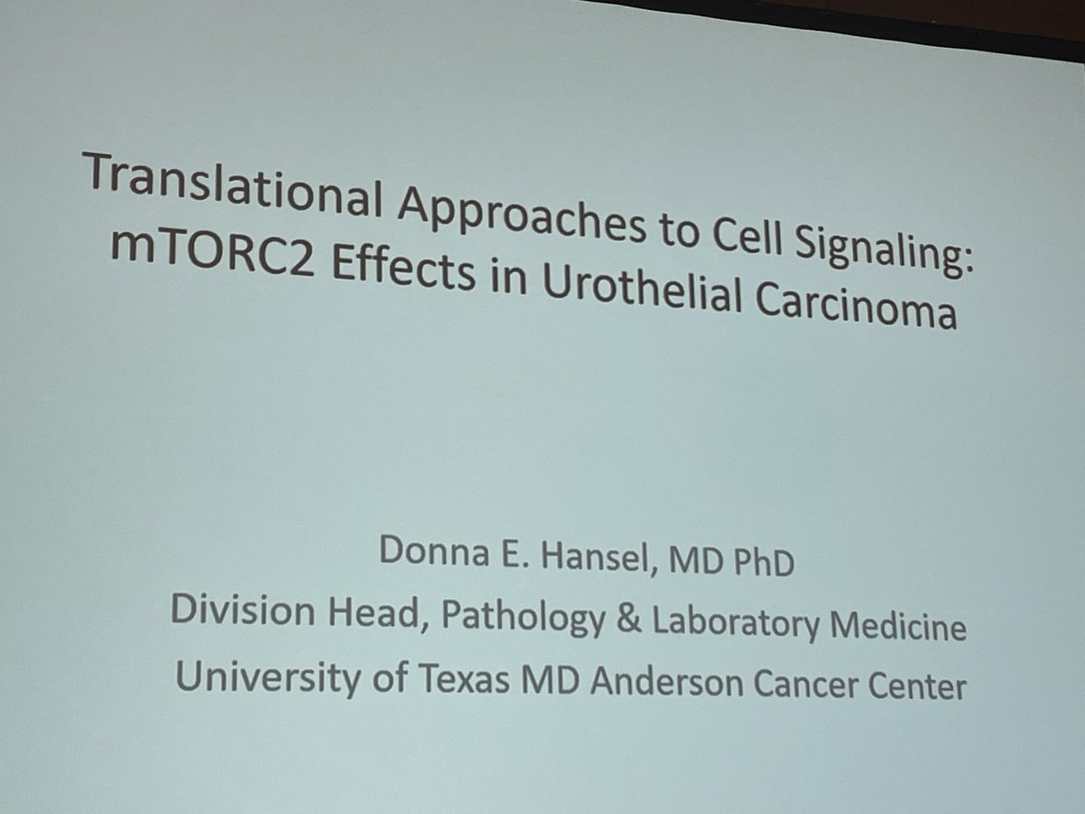 Brian F. Chapin (@chapinmd) on Twitter photo Donna Hansel speaks on translational approaches to cell signaling in urothelial cancers at the #UTCGW conference. Cross disciplinary collaboration from our Division head of pathology. Together we are better! <a href="/MDAndersonNews/">MD Anderson Cancer Center</a> #oncsurgery Donna Hansel speaks on translational approaches to cell signaling in urothelial cancers at the #UTCGW conference. Cross disciplinary collaboration from our Division head of pathology. Together we are better! <a href="/MDAndersonNews/">MD Anderson Cancer Center</a> #oncsurgery