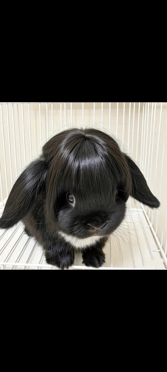 Ansvarsfullt spelande med tydliga budgetramar