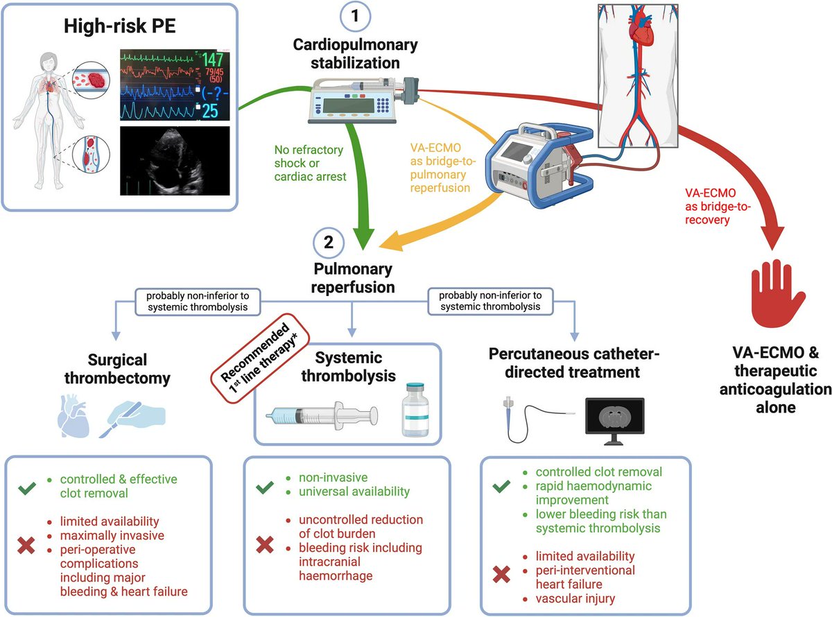 🔴High-risk pulmonary embolism: the significance and perspectives of pulmonary reperfusion⤵️  #2025Review #openaccess 
     
🔹VA-ECMO should— whenever necessary—be used as a bridge to pulmonary reperfusion

🔹link.springer.com/article/10.100…
 #FOAMed #MedEd #medstudent #paramedic