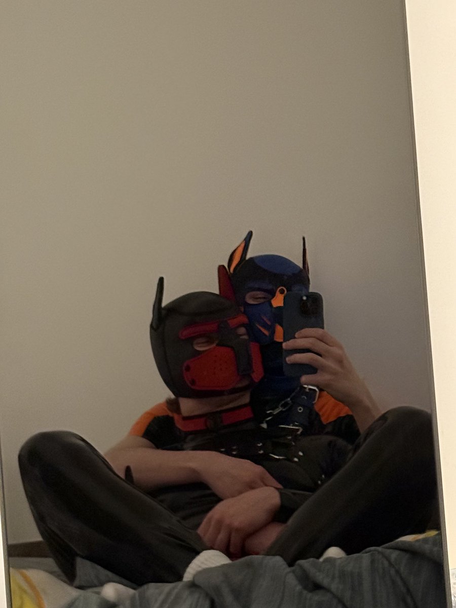 give this good boy a follow! my local counterpart hehehe 😈🐶🐕