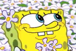 valerieturron's tweet photo. is this the next big #memeface ?? https://t.co/tJom4K06Lh