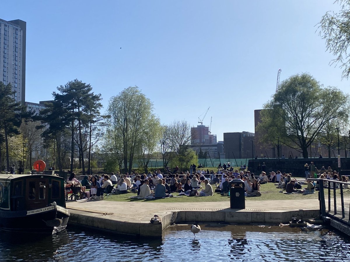 Trees Not Cars MCR tweet media