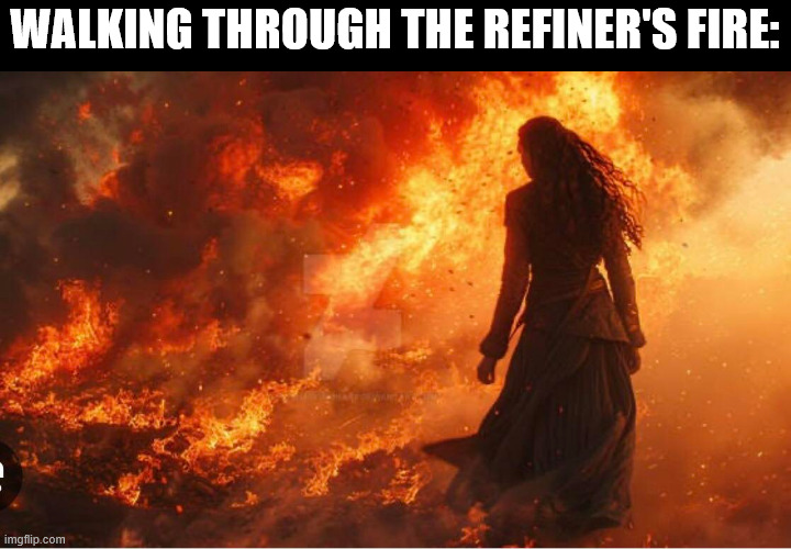 BYU Memes tweet media
