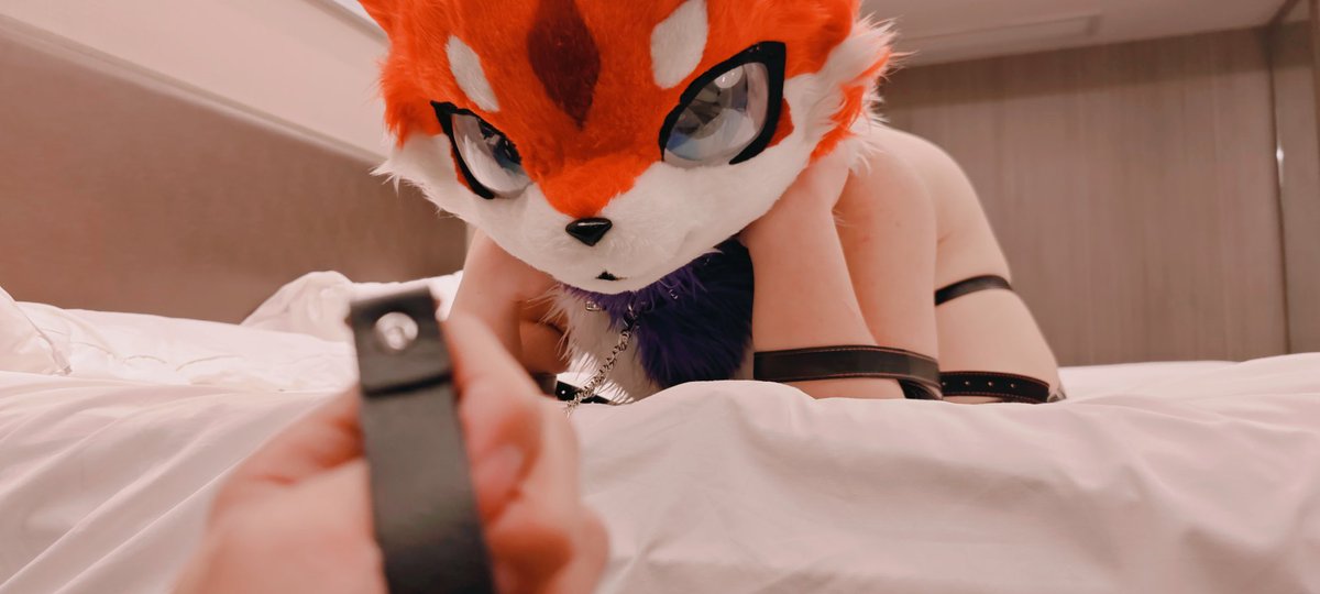 furry_HuYan's tweet photo. 🦊🐶🥵🥵🥵 https://t.co/7bDt0htSYW