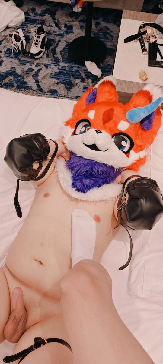 furry_HuYan's tweet photo. 🦊🐶🥵🥵🥵 https://t.co/7bDt0htSYW