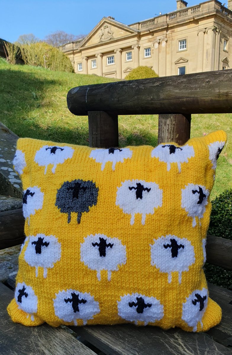 The Yorkshire Grey Sheep tweet media