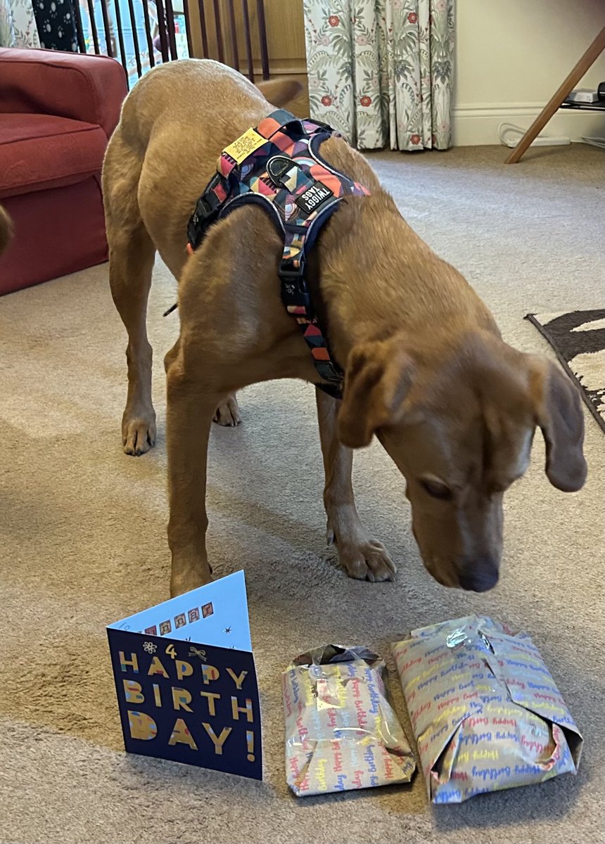 So, after a visit to one of my favourite places where I get 🧀 I came home &amp; found a card &amp; presents waiting for me. Then the best bit: we all had ice cream for pudding. We all love ice cream!! I’m glad I got up today 🤣 Now it’s snuggles with mum🐾🐾xx
