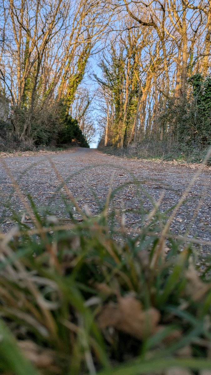 TinadArnoux's tweet photo. La vie est un chemin sur lequel certains campent.
Ils pensent être arrivés, ils s'arrêtent et ils campent.
À ceux qui marchent encore, ils crient :
Arrête-toi ! Tu nous déranges trop !
À toi qui marche toujours, je dis :
Repose-toi parfois, mais ne campe jamais...
#divagations https://t.co/jM2QK40MKd