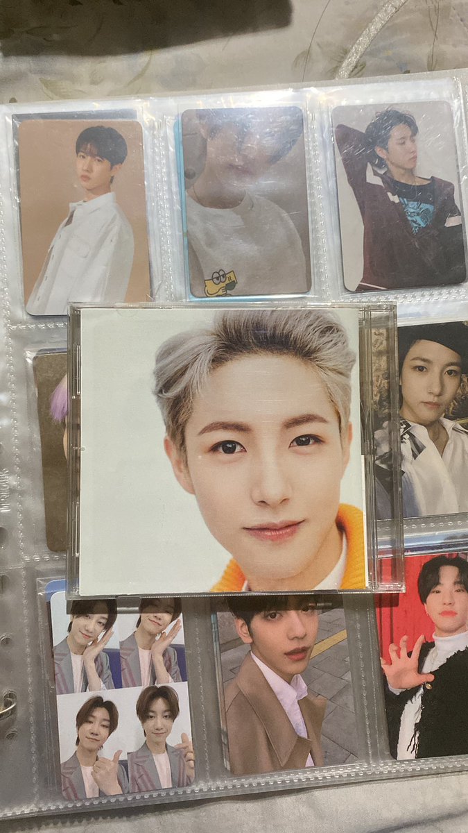 nomm 🦊 tweet media