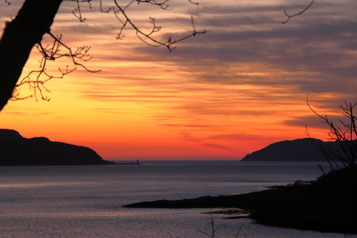 The petals of the wood anemones are dazzeling (as is the Corran Ferry). Irredescent starlings shimmer in the midday sun, and as night fell last night the dusky hues of sunset changed moment by moment.

<a href="/VisitScotland/">VisitScotland</a>  #westisbest #spring #cottagerental