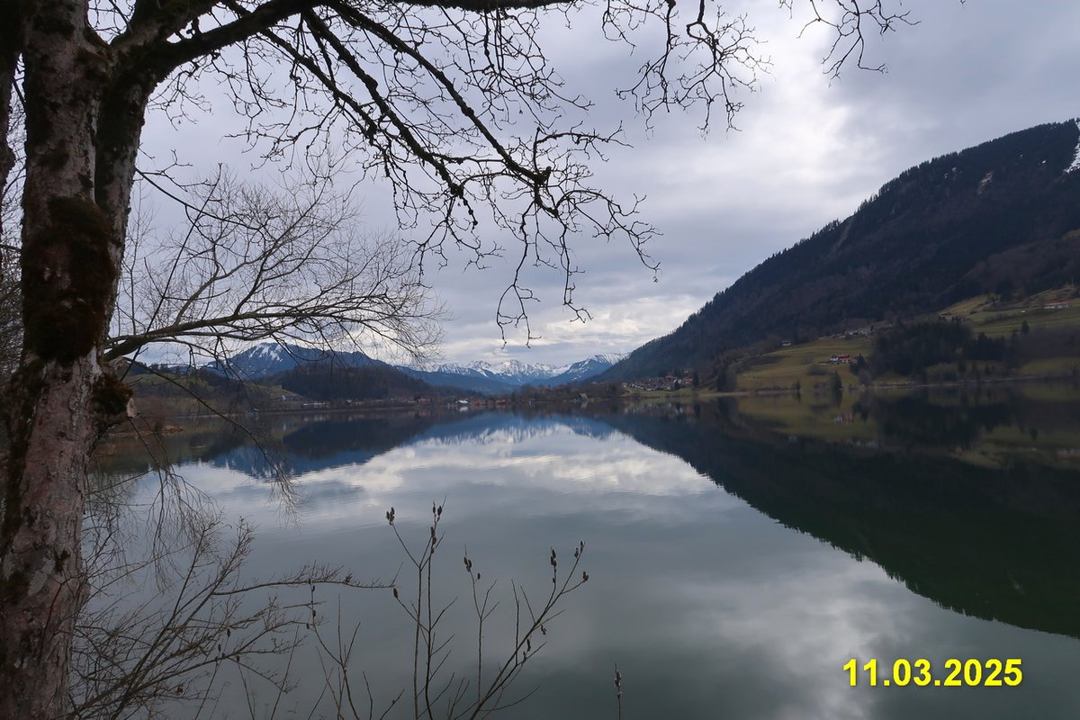 Natàlia tweet media