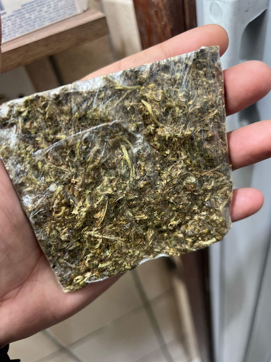 SMKBuddCabofrio's tweet photo. PRA QUEM TAVA COM SAUDADES DA FORTE E SERVIDA CAIU ELA DNV NO PRAÇAO SC BROTA QUE AS FORTE TA COM NOIS VINDO 30G POR $50 BROTA QUE É SEM ARREPENDIMENTOS https://t.co/xkEQT7gcGW