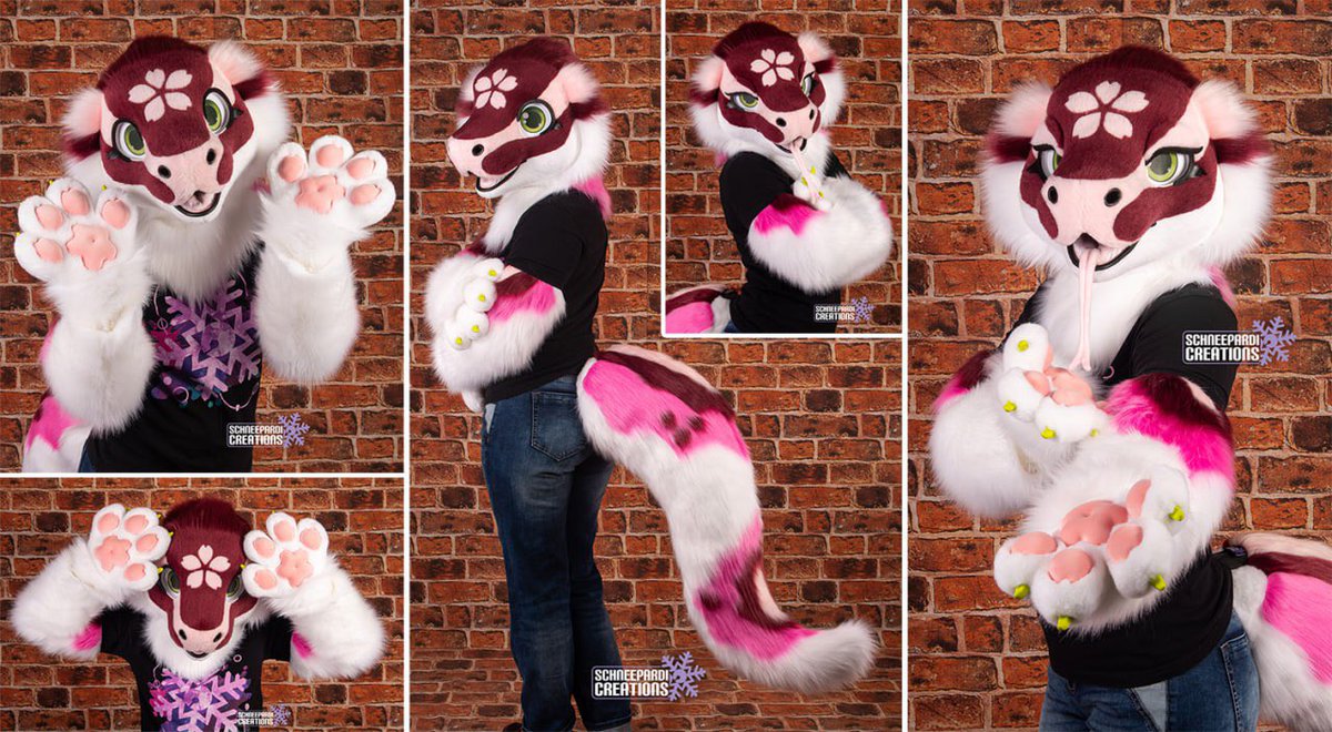 SchneeCreations's tweet photo. Fluffy Sakura 🌸 Ball Python Premade is finished and for s4le!

I‘m so happy how she turned out, love her so much :3 hope she find‘s a good home!

The partial includes a head, hand paws, arm sleeves and a tail. 

More info ⬇️ https://t.co/SMzb2EvsTv
