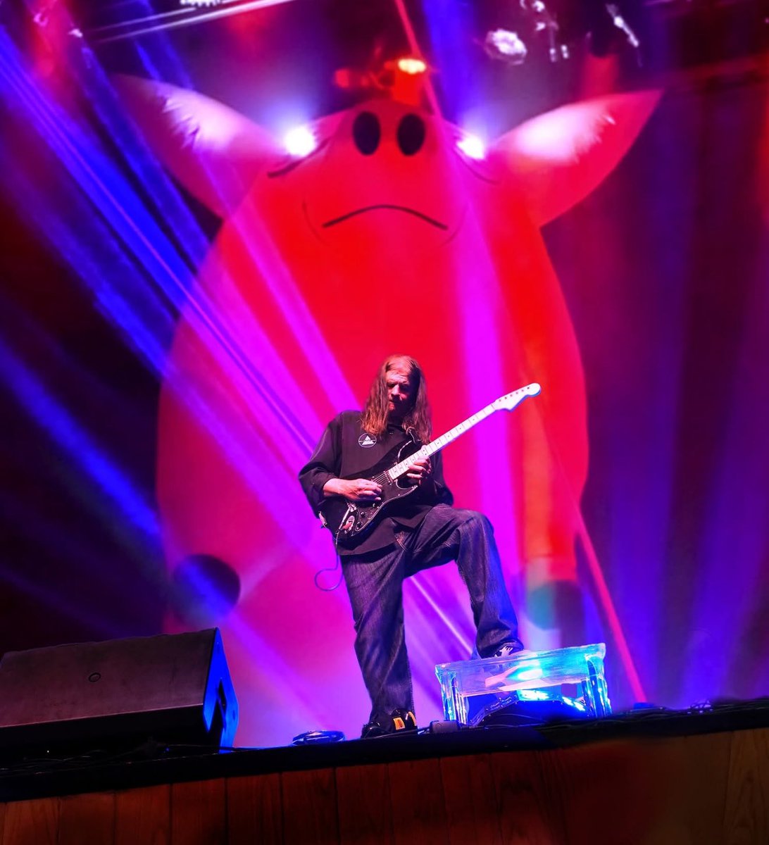 Continuous Signal tweet media