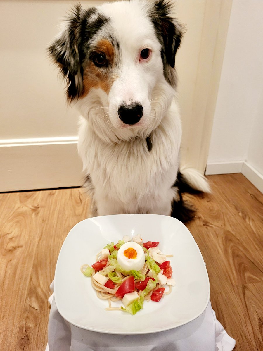 GlitzerflauschV's tweet photo. #Wochenendei #Samstagsei
Ei 🤩 auf Pasta 🤩 mit Mozzarella 🥳 und Tomate und Grünzeug 🙄.
@mav_cologne
@MilchSchnitte2 @SiriwhoSiriwho1 @vonundzu_Stine @Jule20131 
#Twitterrudel https://t.co/6USpqofNMr