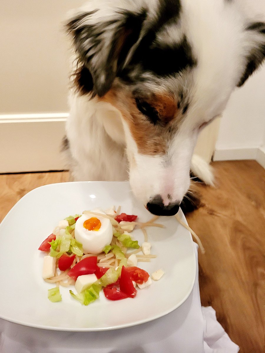 GlitzerflauschV's tweet photo. #Wochenendei #Samstagsei
Ei 🤩 auf Pasta 🤩 mit Mozzarella 🥳 und Tomate und Grünzeug 🙄.
@mav_cologne
@MilchSchnitte2 @SiriwhoSiriwho1 @vonundzu_Stine @Jule20131 
#Twitterrudel https://t.co/6USpqofNMr