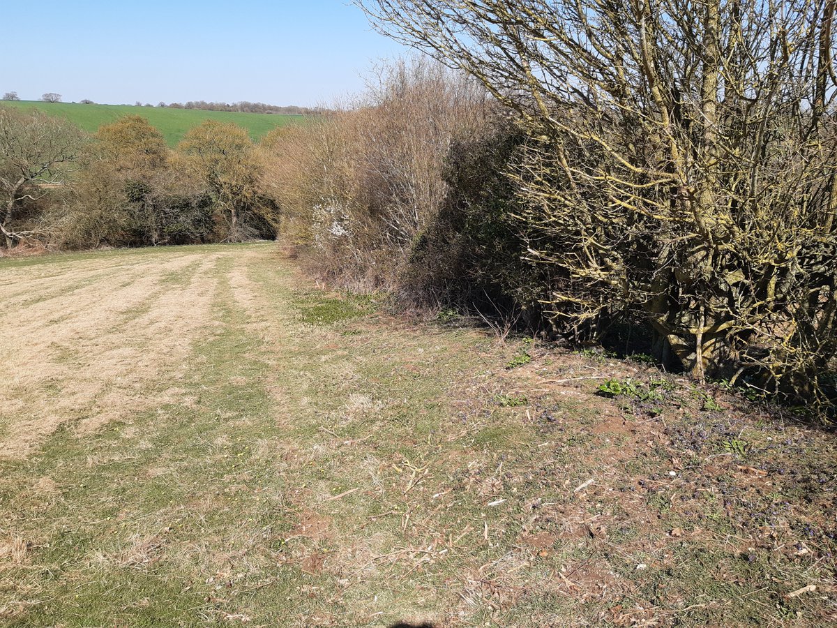 My office this week has been spectacular. Many thanks to all the landowners involved.