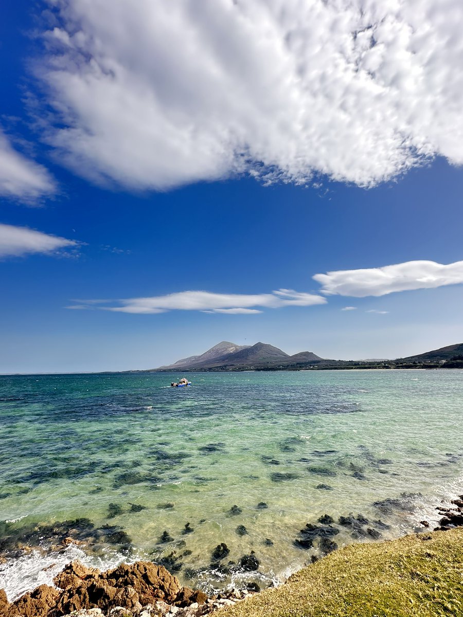 Conor Dwan tweet media