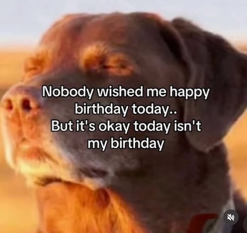 🕐HOURLY🕑 shitpost (@hourly_shitpost) on Twitter photo 