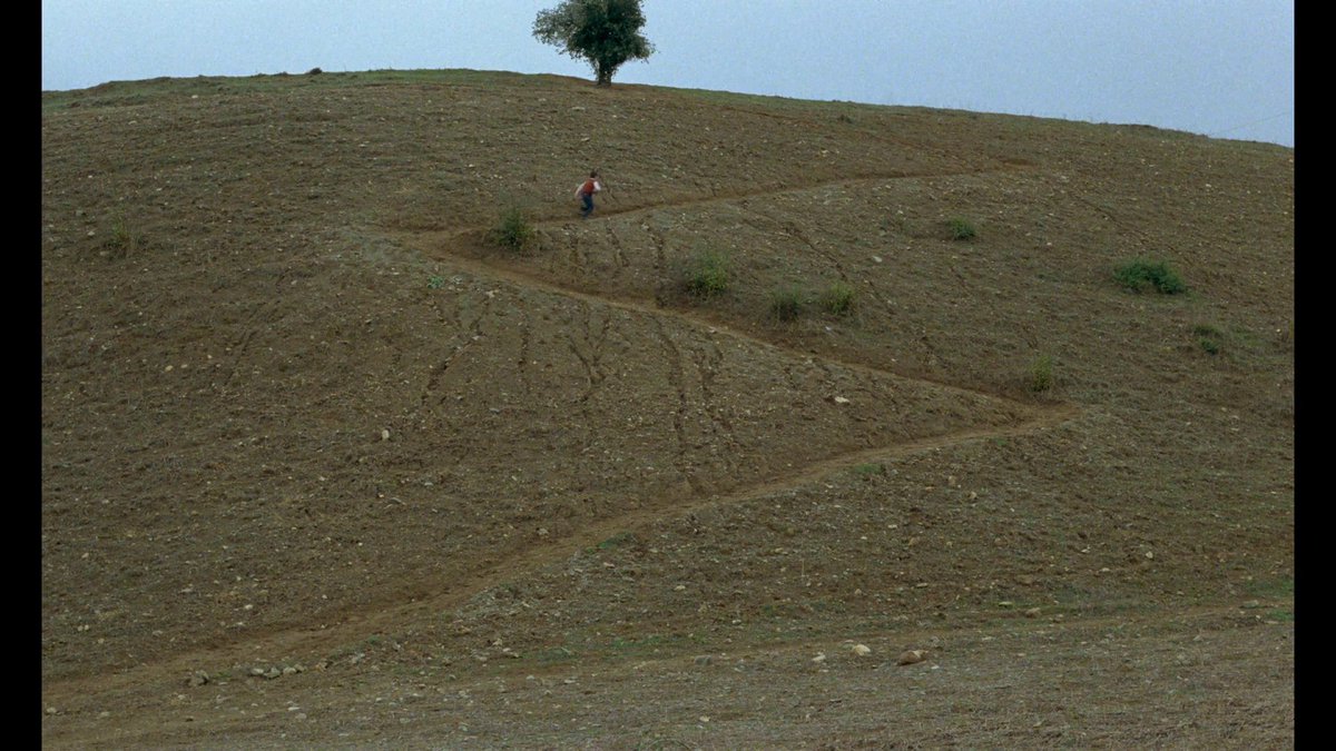Aeneas_SVS's tweet photo. Abbas Kiarostami https://t.co/ElxakDuLKN