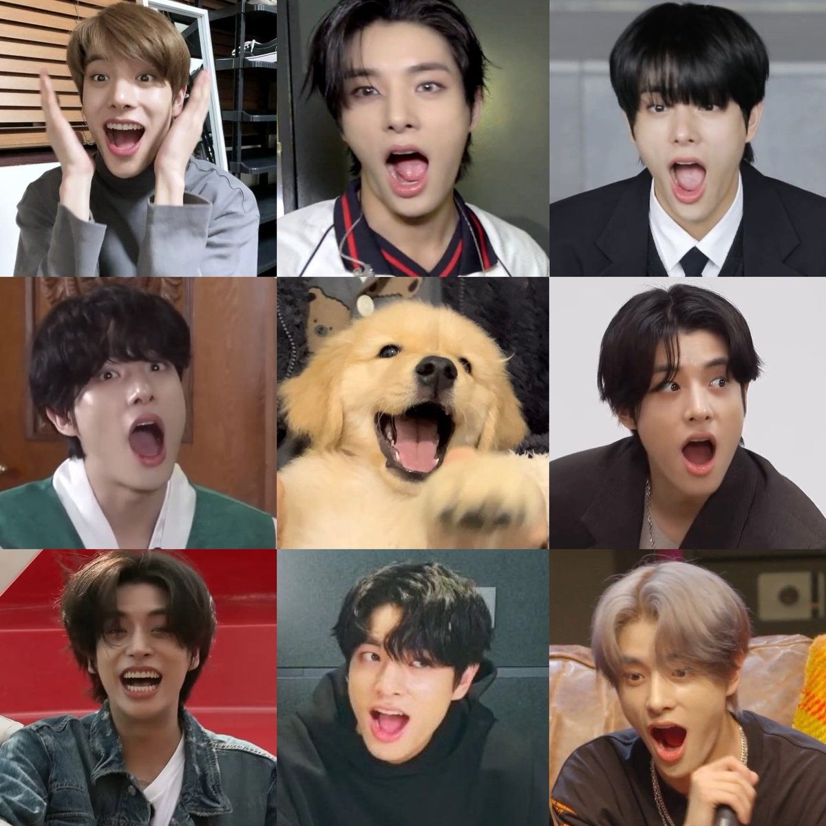 shocked little puppy !!