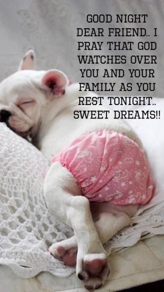 UniquelyJeannie's tweet photo. https://t.co/wRBuuPtzvk