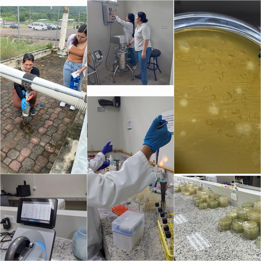 Marynes Montiel (@marynesmontiel) on Twitter photo Esta ha sido una semana muy activa en el #labmicroambiental <a href="/fcvespol/">Facultad de Ciencias de la Vida</a> <a href="/DEC_INV_ESPOL/">Investigación ESPOL</a> <a href="/espol/">ESPOL</a> . Desde toma de muestras, cuantificacion de bacterias y bacteriofagos, inicio de uso de bioreactor, hasta aislamiento de ADN..y aceptacion de publicación..gracias equipo!!💯💥 avanzamos... Esta ha sido una semana muy activa en el #labmicroambiental <a href="/fcvespol/">Facultad de Ciencias de la Vida</a> <a href="/DEC_INV_ESPOL/">Investigación ESPOL</a> <a href="/espol/">ESPOL</a> . Desde toma de muestras, cuantificacion de bacterias y bacteriofagos, inicio de uso de bioreactor, hasta aislamiento de ADN..y aceptacion de publicación..gracias equipo!!💯💥 avanzamos...