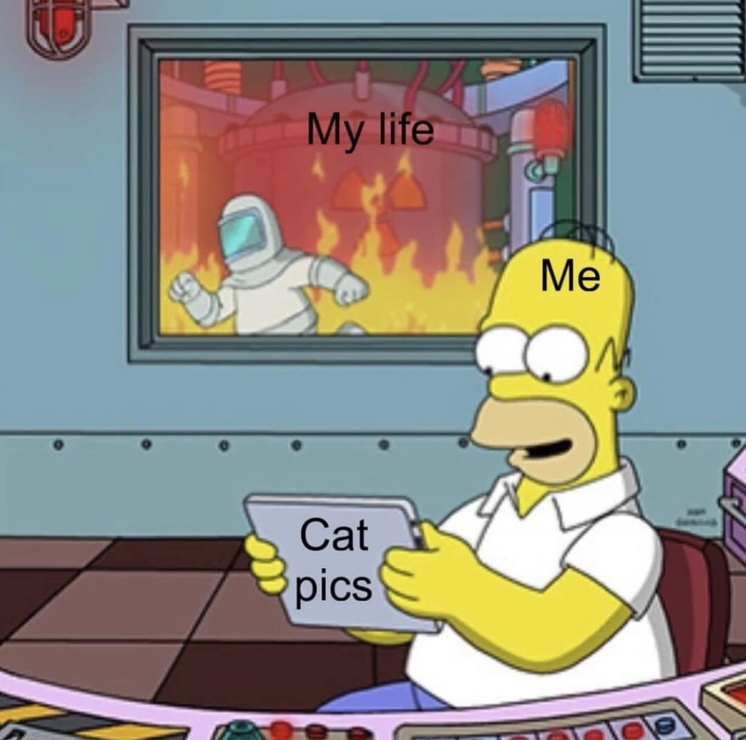 WholesomeMemes (@wholesomememe) on Twitter photo 