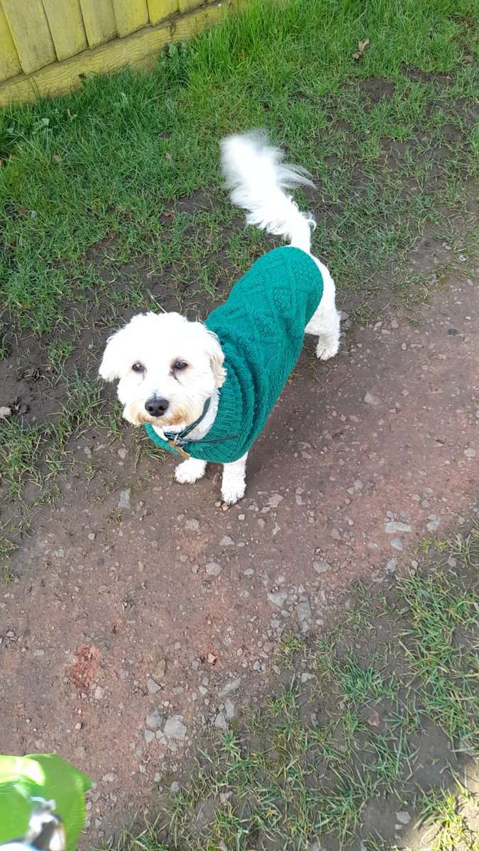 Today I have been wearing my new Aran jumper....