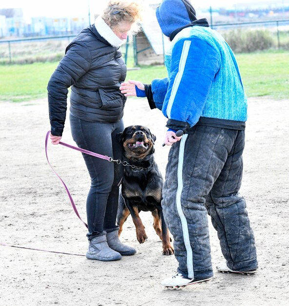 ArmorK9's tweet photo. Transform your dog's behavior with our protection dog training! Positive methods build confidence &amp; obedience. Step-by-step program for a stronger bond. #armork9 #professionaldogtrainer #professionaldogtraining #obedience #boardandtrain #privatetraining #policedogs https://t.co/G6nluUJ8s8