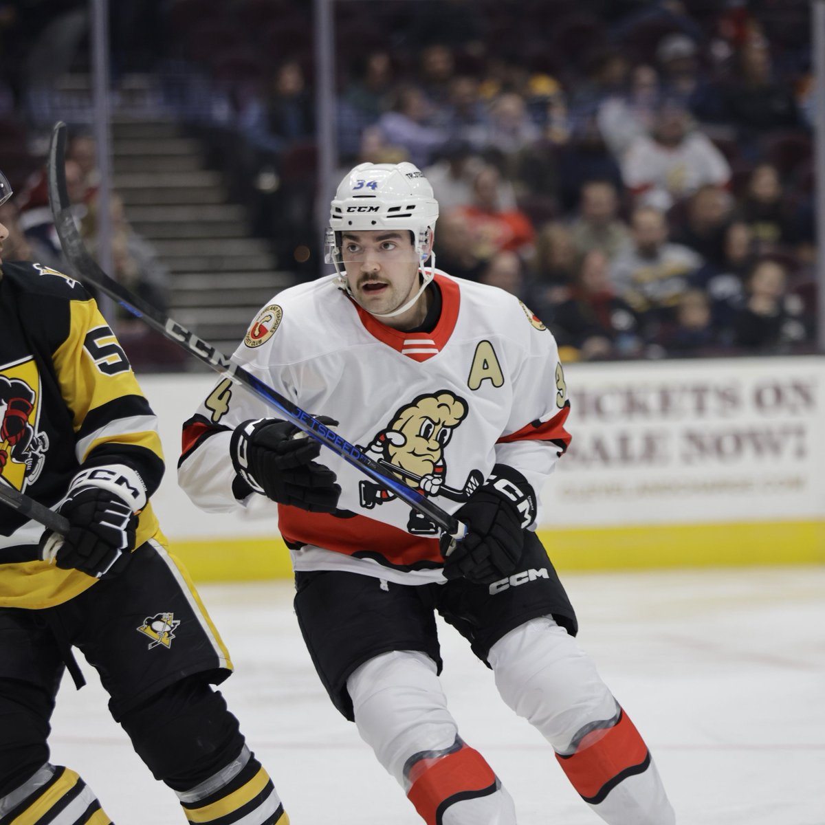 Introducing: The Cleveland Pierogies 🥟🤩