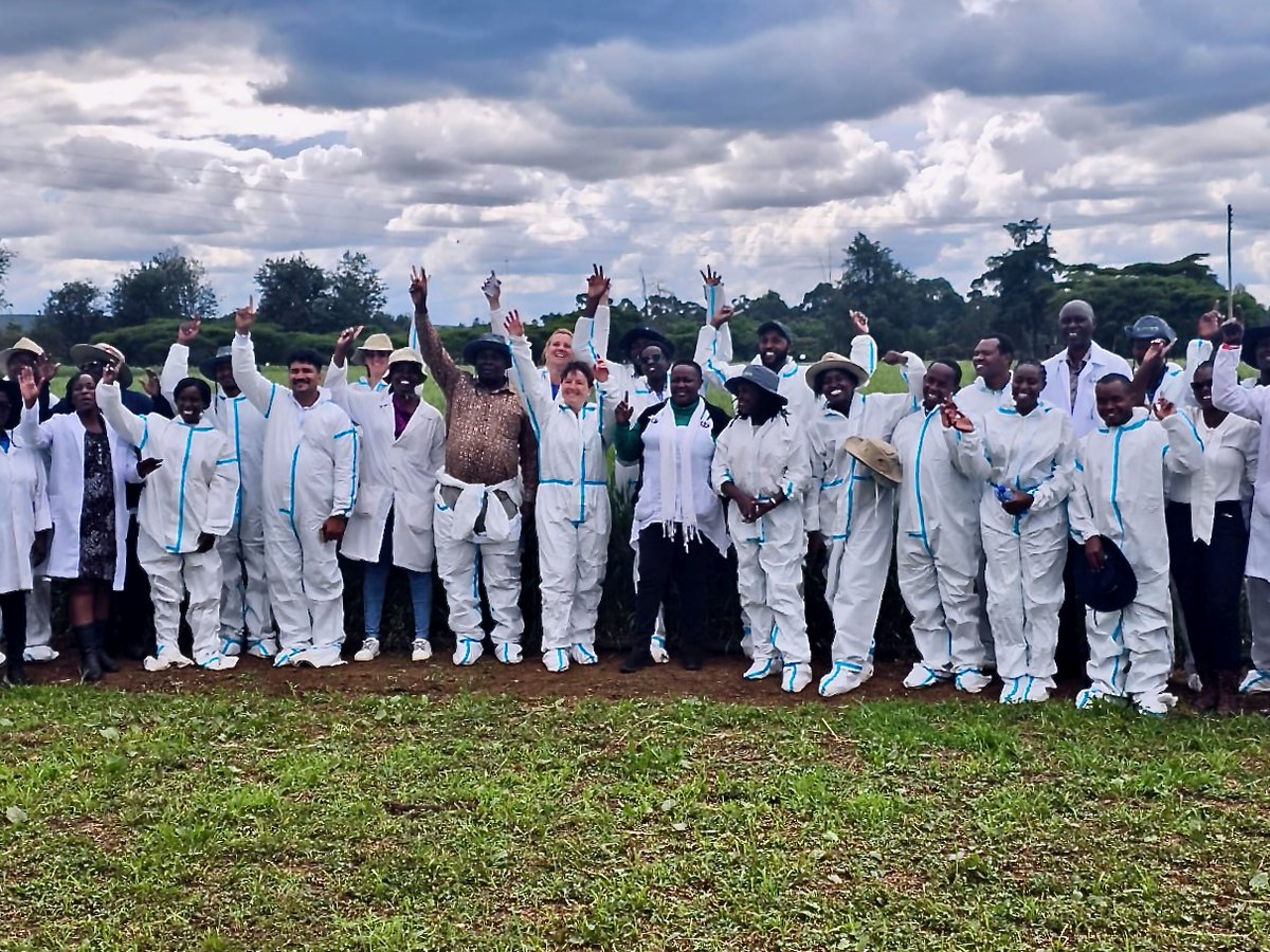 Today’s inauguration in Njoro underlines how integrated partnerships—between CIMMYT, KALRO, and global donors—strengthen seed systems and safeguard food production against harsh weather in Kenya and beyond. 🥬🤝
#CGIARScienceWeek25 #FoodResilience #WeatherSmartAg