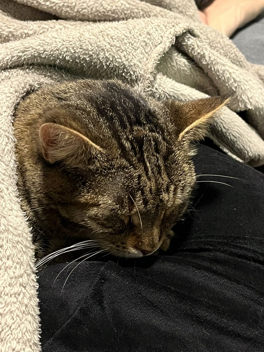 #LiLaFlo Fußball ist nicht so Flos Ding, Kuscheln dafür umso mehr